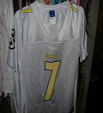 steeler1